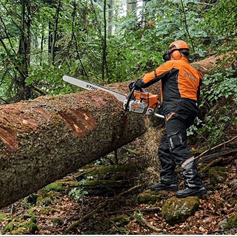 Trefelling-Tømmerhogst