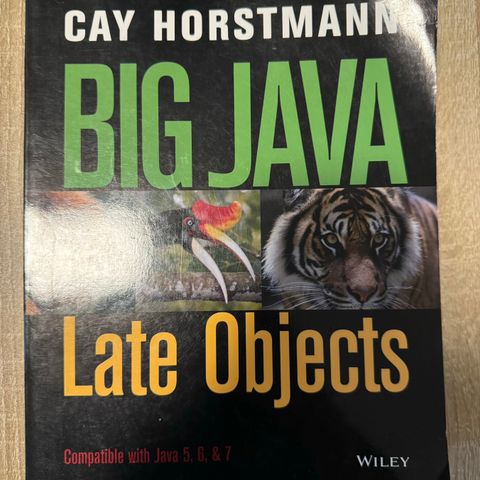 Big Java Late Objects