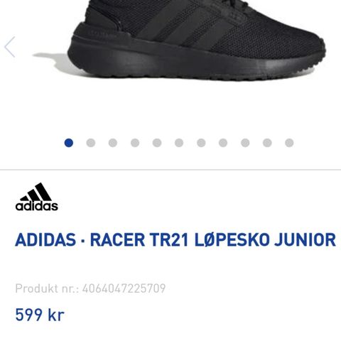 Nye løpesko jr. Adidas Racer TR 21. Str 38