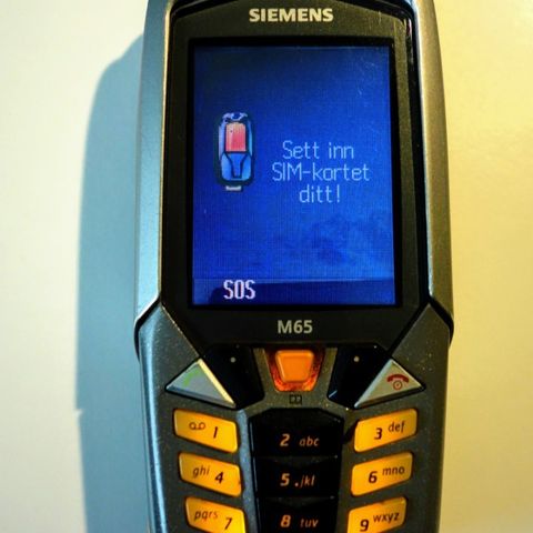 Siemens M65