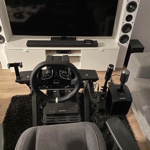 Moza racing - fanatec - next level