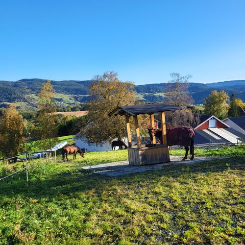 Plass på aktiv utegang/paddock paradise