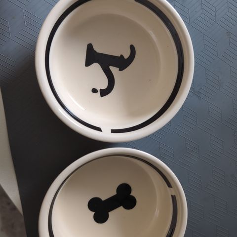 Porcelain Food & Water Bowl Set of 2
