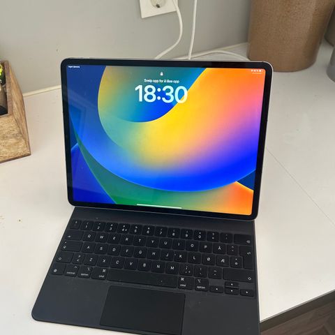 iPad pro 12.9" cellular 256gb