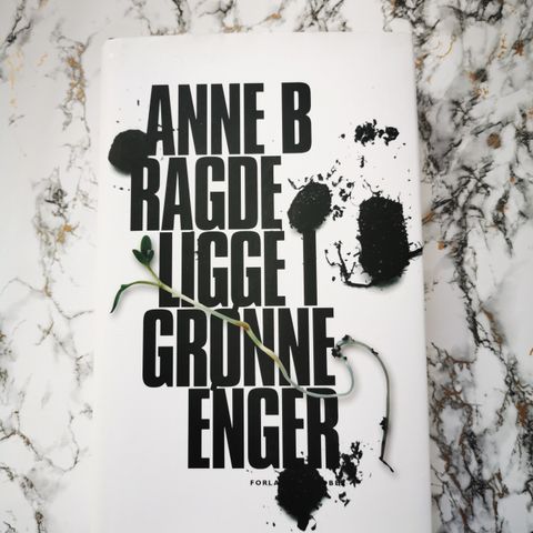 Anne B. Ragde - Ligge i grønne enger