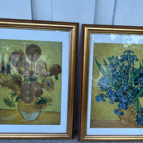 Vincent van Gogh nydelig innrammet plakat, solsikke og iris!