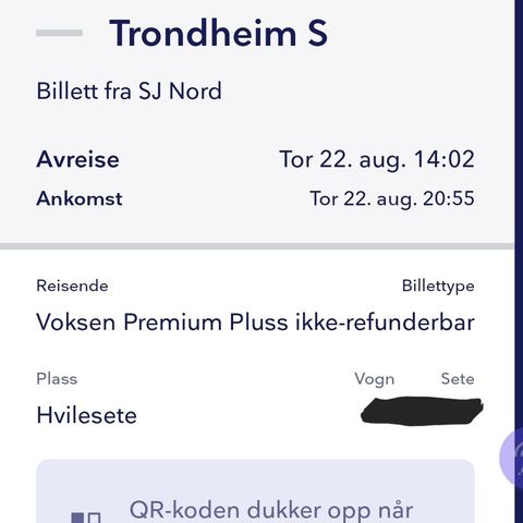 Togbillett hvilesete Oslo - Trondheim 22.08.2024