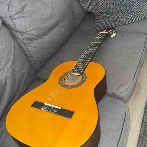 Klassisk gitar med bag