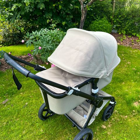 Bugaboo fox classic