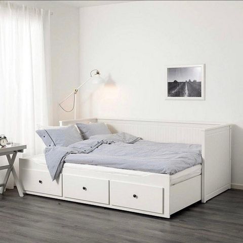 Hemnes dagseng kan levers