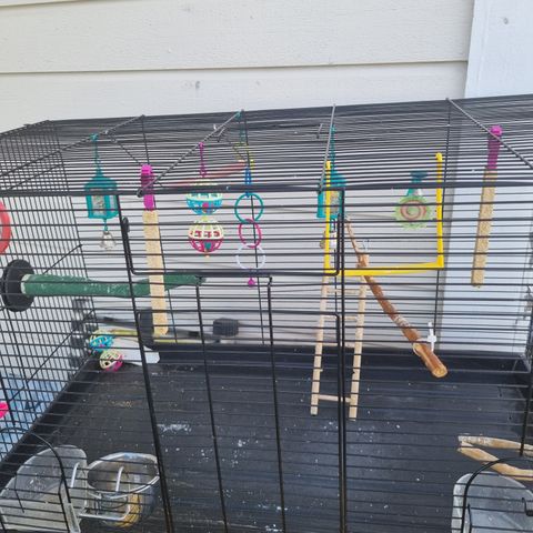 Fuglebur med utstyr