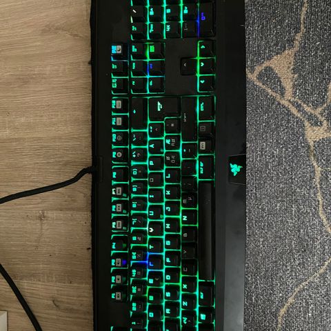 RAZER gaming tastatur. Kan diskutere pris