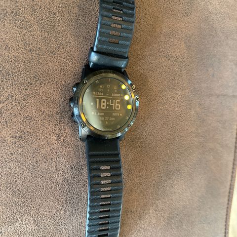 Garmin Fenix 5 sapphire crystal Titan