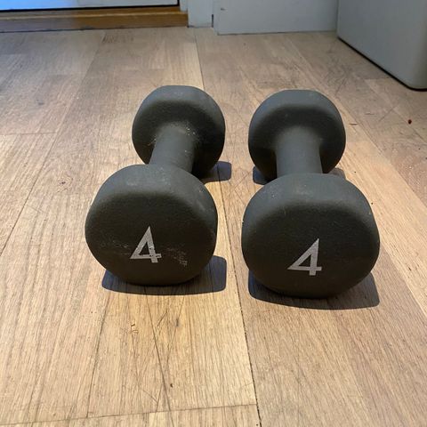 Dumbbell 4kg 2pcs