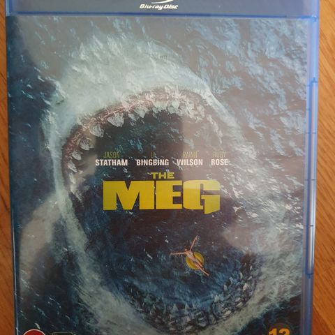 The MEG