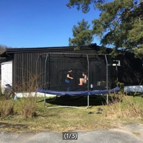 trampoline