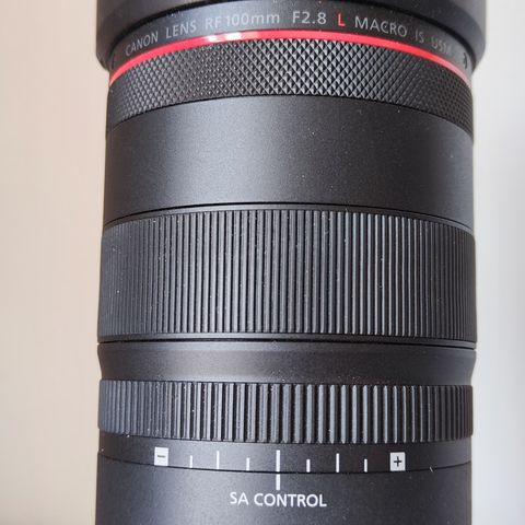 Canon RF 100/2.8 L IS USM Macro