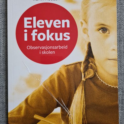 Eleven i fokus