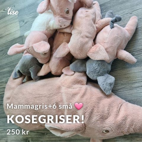 Supersøte grise-bamser!