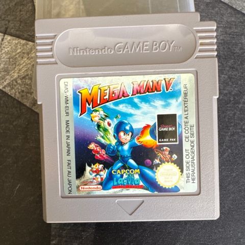 Mega Man V