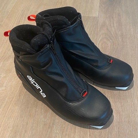 ALPINA ski boots
