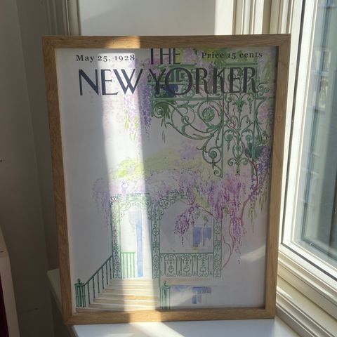 The New Yorker-poster 50x70 cm