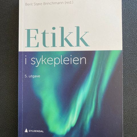 Etikk i sykepleien