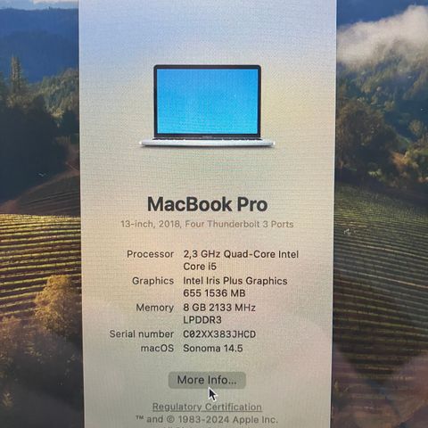 MacBook Pro 13 med Touch Bar 2018 (sølv)