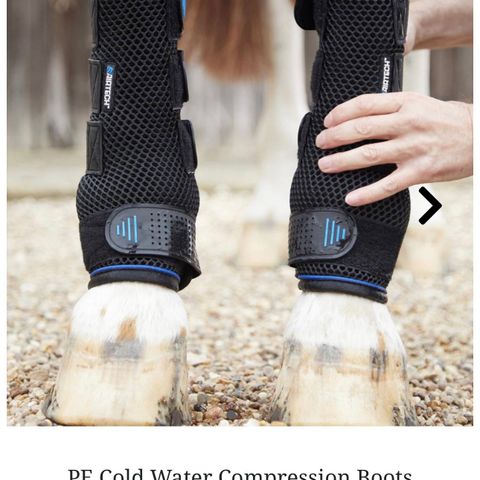 Premier Equine Cold Water Compression boots ønskes kjøpt!
