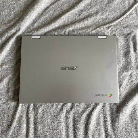 Asus chromebook flip CM1