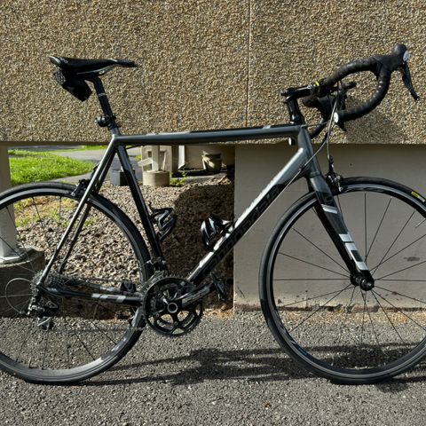 Cannondale caad 10 størrelse 60 (183-200cm)