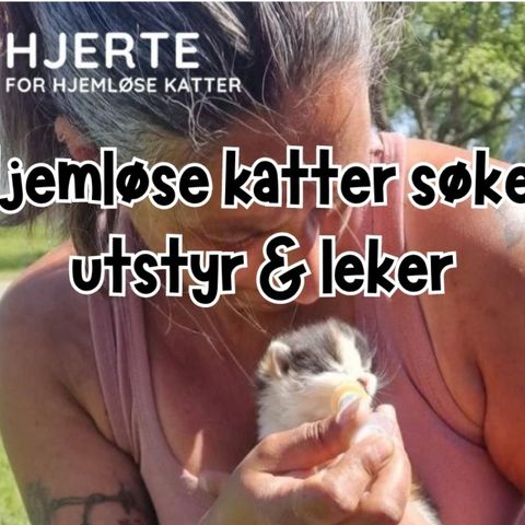 Arve Utstyr - Hjemløse Katter