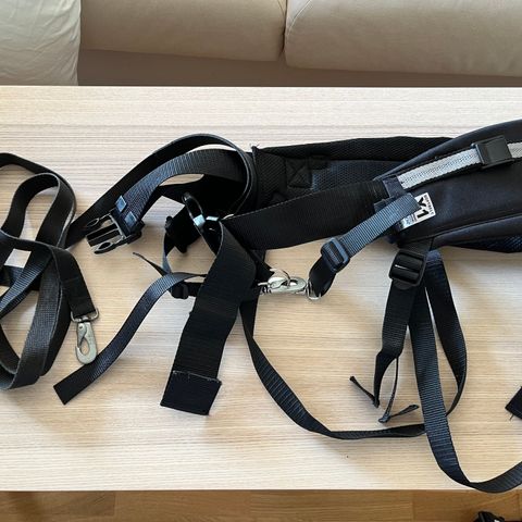 Baggen softbelt X1 turbelte til hundeeier, myk demping