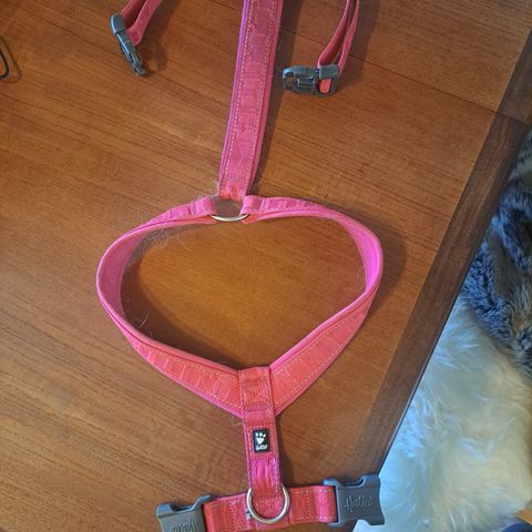 Rosa hurtta Y-sele og Non-stop line harness grip sele