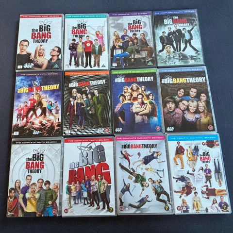 DVD: The Big Bang Theory sesong 1-12 (komplett serie)