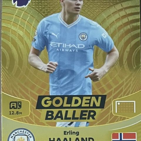 Haaland - Golden Baller Panini