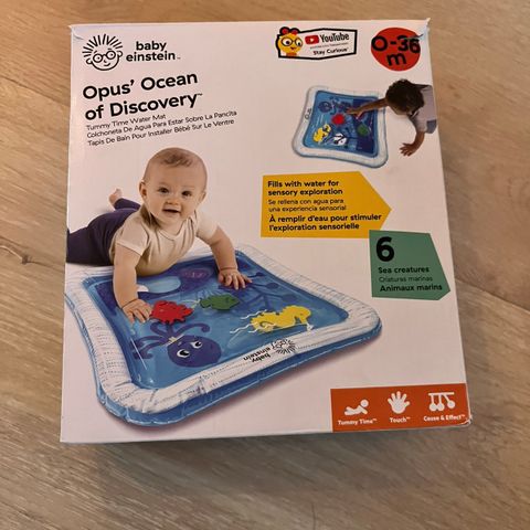 Baby Einstein lekematte