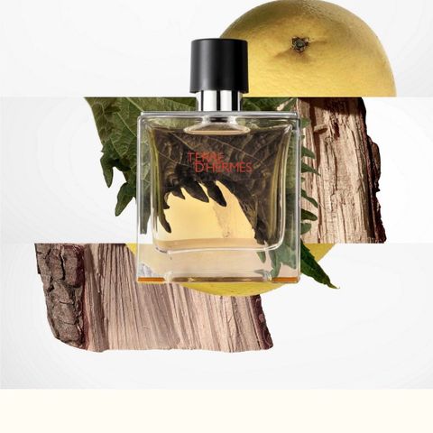 Terre d’Hermes EDT 100 ml