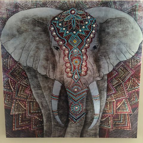 Elefant lerretsbilde 80x80 cm