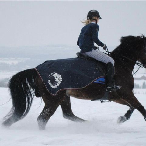 Hv polo ridedekken