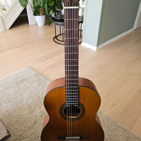 Walden N550 akustisk gitar