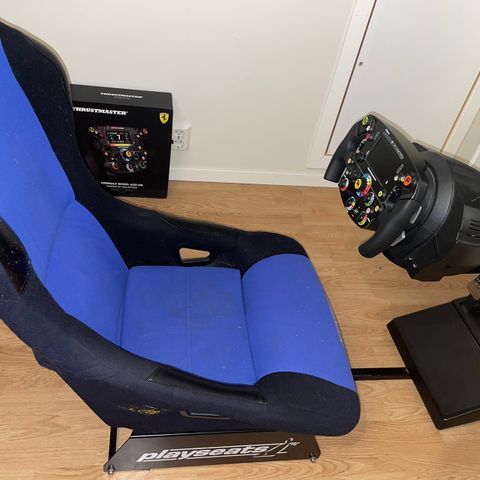 Thrustmaster SF1000 rig