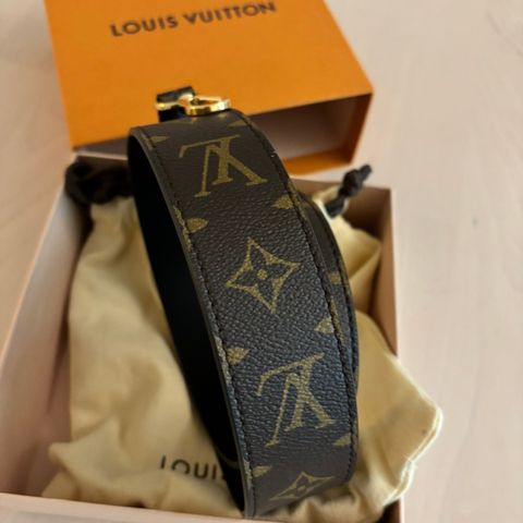 Louis vuitton stropper (veske)