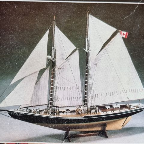 Billing Boats Bluenose 600