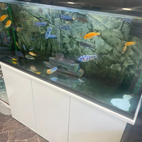 Akvarier