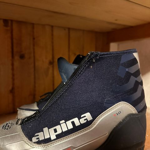 Alpina skisko