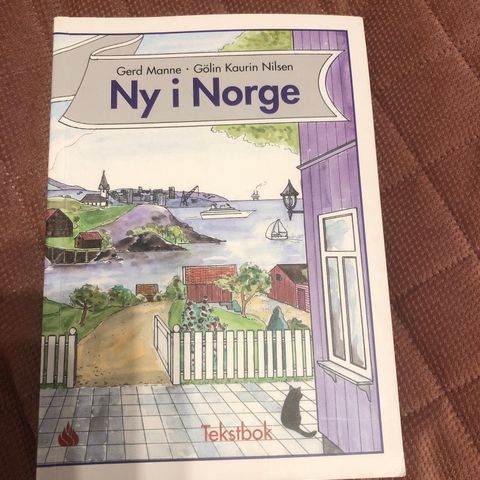 Ny i Norge