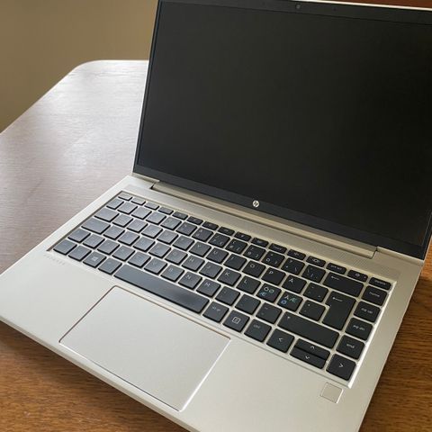 HP Probook 445 G8