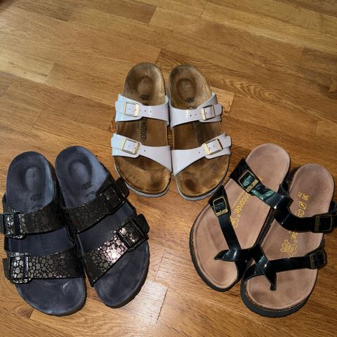 Birkenstock og Concorde tøfler