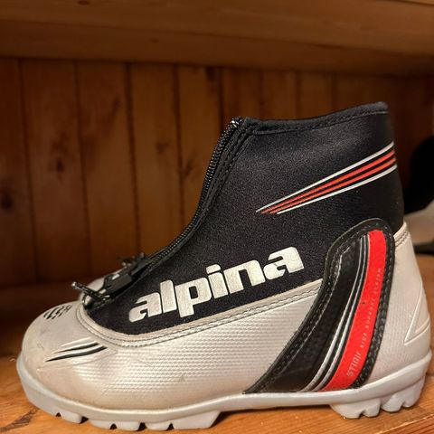 Alpina skisko